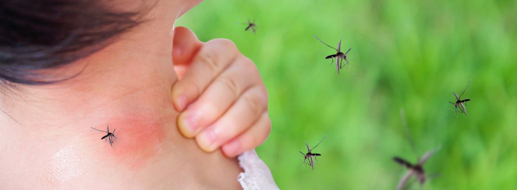 La mitad de la población mundial corre el riesgo de infectarse de dengue, reporta la OMS, México el tercer país que más casos registró este año