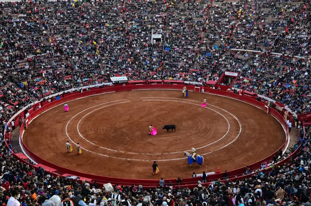 Legisladores de la CDMX presentan amparo contra el regreso de las corridas de toros