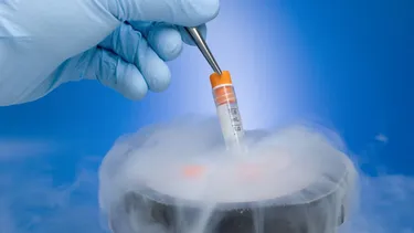 Corte Suprema de Alabama considera que destruir un embrión congelado es un delito porque “es un niño no nacido”