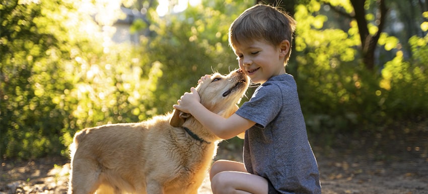 Beneficia tener una mascota en casa pero también existen peligros para la salud