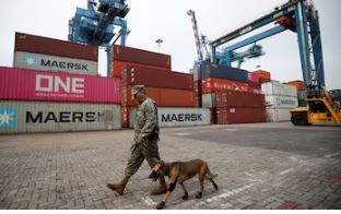 Gobierno de Trump suspende ayuda a México para impedir que precursores químicos del fentanilo entren al país a través de puertos
