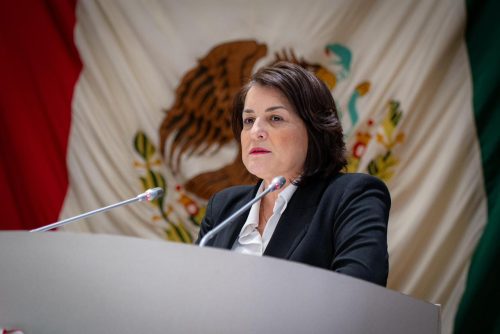 diputada maria felix
