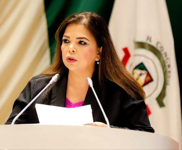 diputadaanagabrielatapia