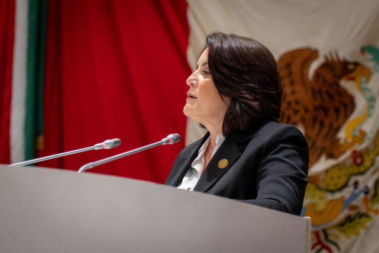 gabrielafelixdiputada