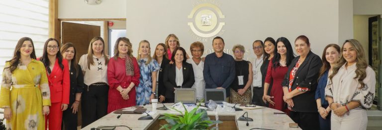 legisladorasdonacion