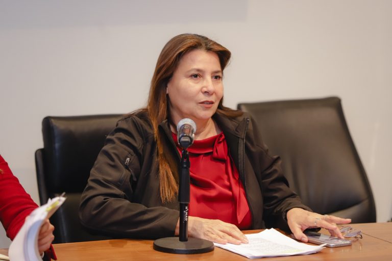 diputada maria eduwiges