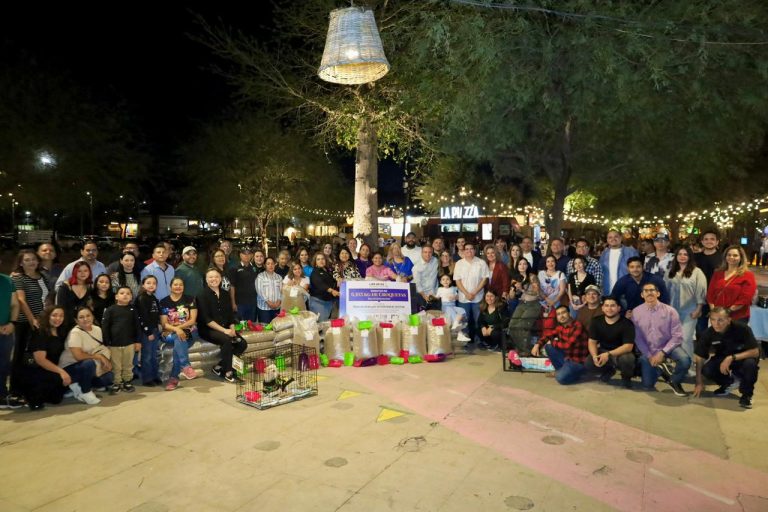 WhatsApp Image 2026-02-08 at 12.44.46 PM