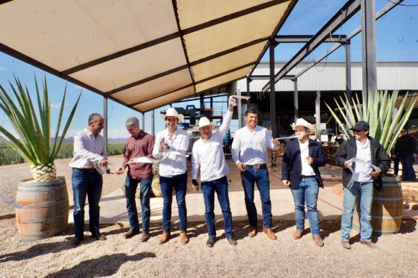 WhatsApp Image 2026-02-10 at 5.33.57 PM