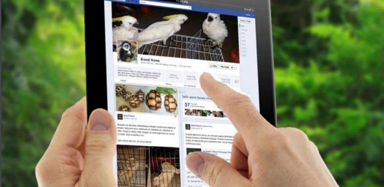 ventailegalenfacebook