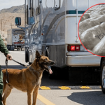 detecciondroga
