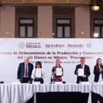 preciomaizfirma