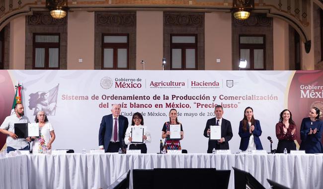 preciomaizfirma
